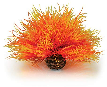 biOrb 46085 Akvarier Selilja, orange – liten elegant akvariedekoration i form av en detaljerad vattenväxt av slitstark plast | för sötvattenakvarier och havsvattenakvarier