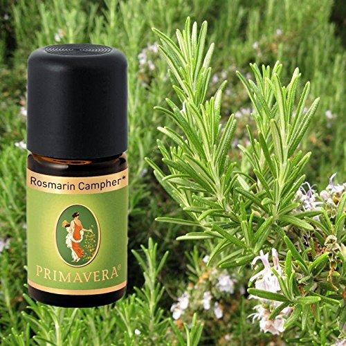 Primavera Bio Duftöle für Aromatherapie zu je 5ml, Duft:Rosmarin Campher Bio