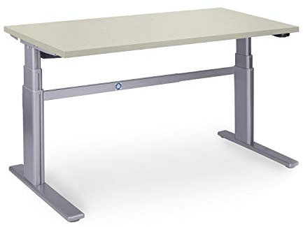 Dila GmbH Ergonomischer Schreibtisch elektrisch höhenverstellbar, höhenverstellbarer Bürotisch Workstation Arbeitstisch Bürotisch Büromöbel (160 x 80 cm, Ahorn)