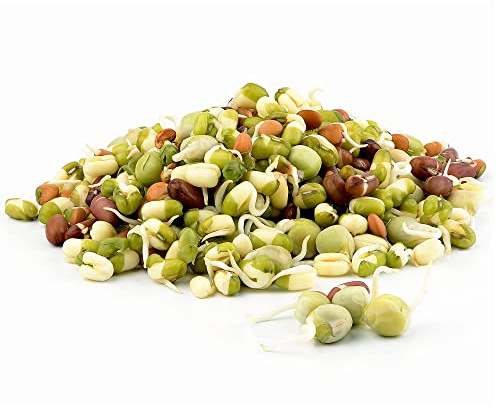 Todd’s Seeds - Protein Bean Sprouting Seed Mix - Green Pea - Mung Bean - Adzuki - Garbanzo - One Pound - Non GMO