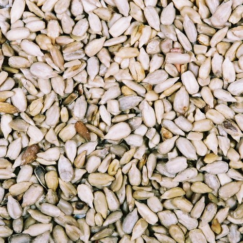 25 kg Dawn Chorus Sunflower Hearts For Wild Birds (12.5 kg x 2)