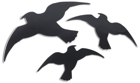 Windhager 07116 Lot de 3 Autocollants faciles à Coller sur Les Silhouettes d'oiseaux, Protection de fenêtre, Protection Contre Les collisions d'oiseaux, protège Les Oiseaux des Grandes Surfaces
