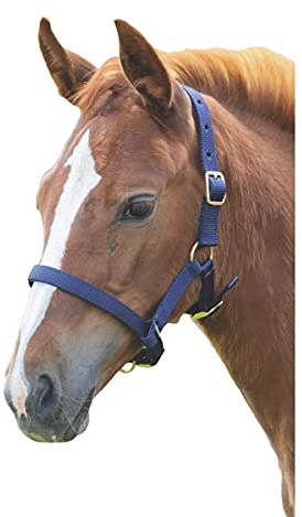 Shires - Licol pour poulains (Poulain/Mini) (Bleu Marine)