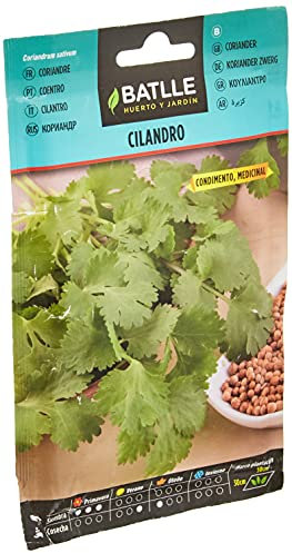 Battle Kräutersamen - Koriander (Samen - 75cm)