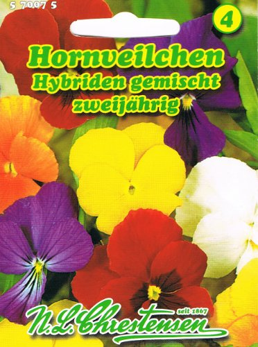 Hornveilchen Hybriden Mischung Viola cornuta zweijährig