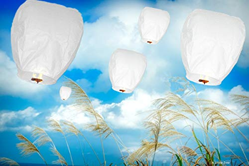 A Liittle Tree- 10 Eco-Friendly Chinese Sky Lanterns Christmas New Year Parties Celebrations (White)