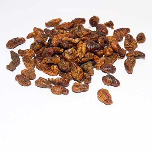 Warnick´s Tierfutterservice Seidenraupen getrocknet * Koifutter * Reptilienfutter - Schildkrötenfutter (5 Liter)