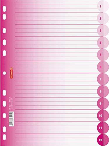 Brunnen - 106659523 Registro con codice colore per raccoglitore ad anelli (in PP, per foglie A4-12 Tabs) pink