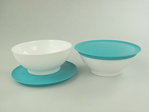 TUPPERWARE Tazòn Postre Allegra de 275 ml turquesa blanco (2)