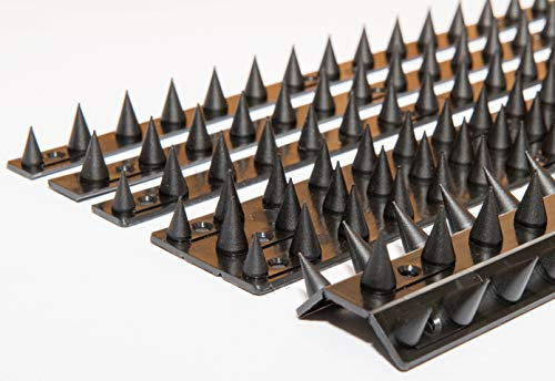 the Cactus Fence Wall Spikes: Pack of 10 (4.5M to 13.5M) – BLACK