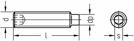Reidl Gewindestifte mit Innensechskant und Zapfen 5 x 40 mm DIN 915 A2 blank 50 Stück