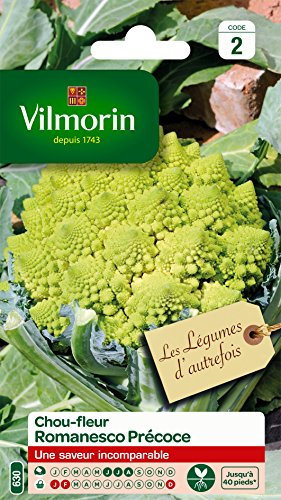 Vilmorin 3367142 Pack de Graines Chou Brocoli Romanesco Précoce