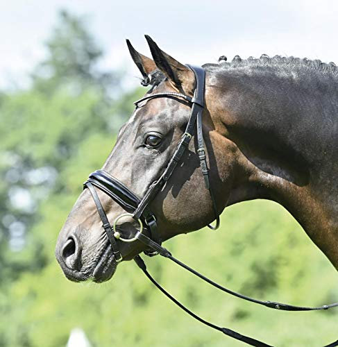 Busse Trense MAILAND, WB, schwarz/Lack-Kristall