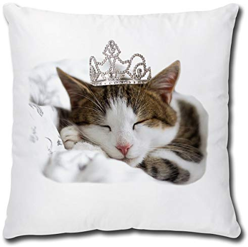 TRIOSK Kissen mit Katze Katzenmotiv Prinzessin Schlaf lustig Katzen Geschenk für Katzenliebhaber Frauen Freundin Mädchen Dekokissen 40x40