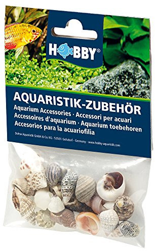 Hobby 40221 Sea Shells Set, S