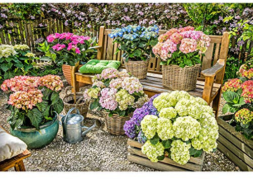 Dehner Arrosoir nostalgique/rétro, Ovale, 9 L, env. 50 x 39 x 22 cm, Zinc, Argent