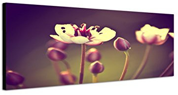 Augenblicke Wandbilder Keilrahmenbild Wandbild 150x50cm Blüten Blumen Vintage