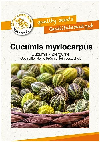 Ziergurkensamen C. myriocarpus Portion
