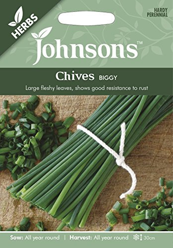 Johnsons 24567 Herb Seeds, Chives Biggy