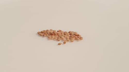 50 graine à semer - Le Grenier d'Abondance - TOMATE Black Cherry - Solanum Lycopersicum