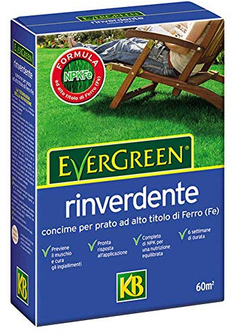 Concime rinverdente per prato Kb EverGreen 2kg