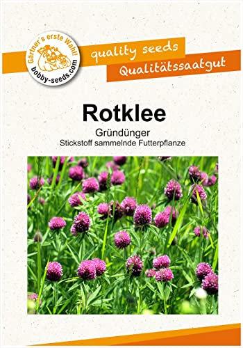 Bodenkur Rotklee - staudige Gründüngung/Futterpflanze Portion