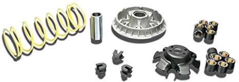 variomatik Malossi Multivar 2000 Kymco Xciting, Quad, ATV 25. | Inclus: variateur;poids 23x18 mm:6x17 g, 6x20 g;compatible avec KYMCO KXR 250 Sport, MXU 250 S; compatible avec Kymco Xciting