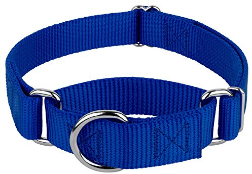 Country Brook Petz - Martingale Dog Collar - Heavy-Duty Training Collar with No Buckle - Service Dog Collar for All Pups - 10+ Cool Colors (Royal Blue, 1 Inch, Medium)