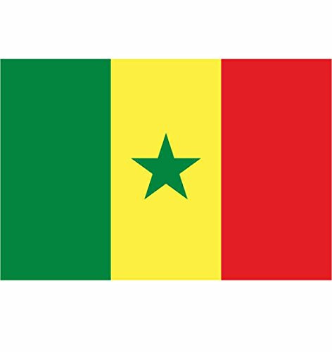 Digni Drapeau Sénégal - 90 x 150 cm