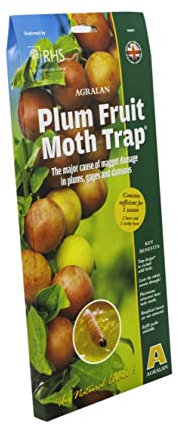 Agralan RHS Approved Natural Plum Moth Pheromone Trap
