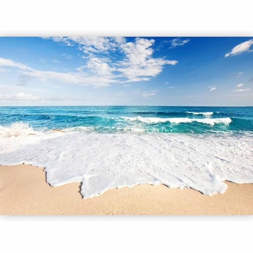 Fotomurale murando Carta da parati 200x140 cm TNT Murale alla moda Decorazione da Muro XXL Poster Gigante Design Carta per pareti spiaggia mare natura c-B-0035-a-a