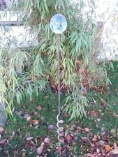 Zen Man Gartenstecker Beetstecker Glaskugel Edelstahl GartenDekoration Metall Deko Eisen