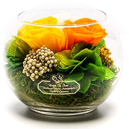 Rosen-Te-Amo |Konservierte Blumenarrangement, duftend, farbig handgemacht mit echten Foliage Geburtstagsgeschenk für Frauen, Rosen Geschenke für Mama| Blume zum Weihnachten, Valentinstag, Muttertag