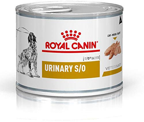 ROYAL CANIN Veterinary Urinary S/O Mousse | 12 x 200 g | Diät-Alleinfuttermittel für ausgewachsene Hunde | Zur Unterstützung der Harnwege bei Struvitsteinen | Niedriger RSS-Wert