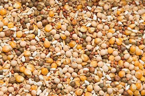 Purgrain Sparkling Clean Pigeon Feed Purgain Breeder/Conditioner 16% with Popcorn–50 lb Bag
