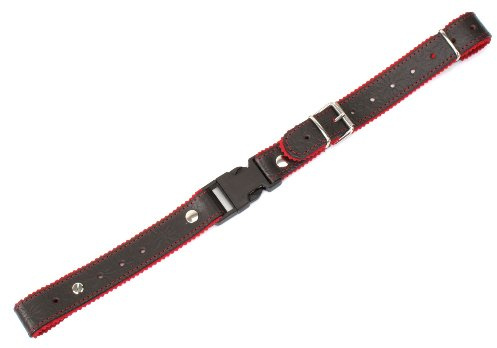Alpenklang Tracolla Trasversale per Fisarmonica/Harmonica - marrone/rosso