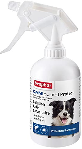 BEAPHAR – CANIGUARD Protect – Spray antiparasitaire pour Chien à la Perméthrine – Agit Contre Les puces et Les tiques – Très Longue Protection jusqu'à 5 semaines – Pulvérisateur de 250 ML