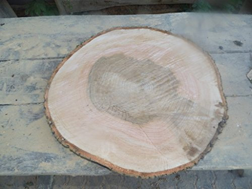 KJR Holzmanufaktur Baumscheibe, Holzscheibe,ca. 50 x 5 cm, Tischplatte, Esche