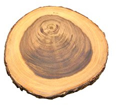 apollo THE HOUSEWARES BRAND Rustica bark Board Round 20-25cm | Acacia Wood, Ideal for Weddings, Christmas, Cakes, Centrepiece, Diameter 20-25cm, Natural Rustic Bark Design