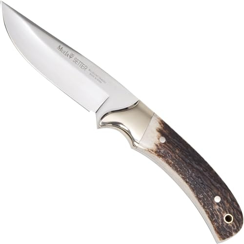 Muela Setter Jagdmesser, Hirschhorn, Klinge: 11 cm