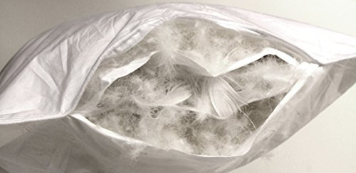 Betten Hofmann Luxus Dreikammer Kopfkissen 40x60 cm Daunenkissen Nackenkissen 3-Kammer, mit weicher Daunenhülle, Naturprodukt