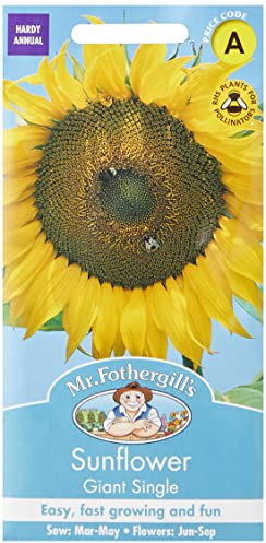 Mr Fothergill's 16054 Sunflower Giant Single Flower Seeds, Sow: Mar to May