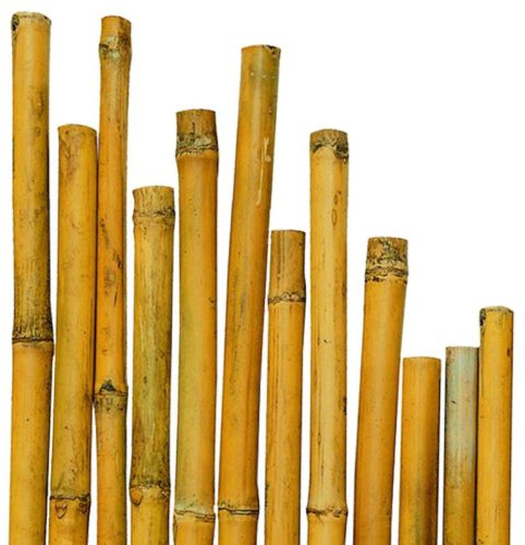 CANNA CANNETO PER PIANTE IN BAMBU 25 PZ AGRICOLTURA ORTO Ø 28-30 MM H 2,10 MT