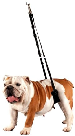 Show Tech Comfort Belly Strap for Dogs - Small