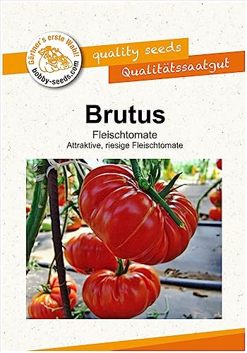 Tomatensamen Brutus Fleischtomate Portion Rot