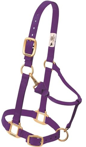 Väv läder original justerbar nylon hästgrimma weanling/ponny, lila