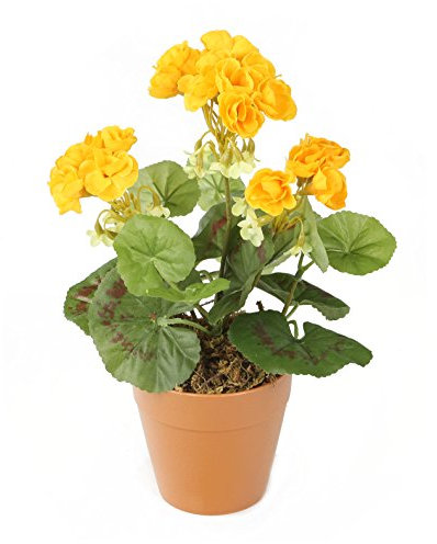 Closer2Nature - Yellow Geranium Artificial Plant; 24cm Fake Geranium Plug Plant; Artificial Flowers Perfect as Indoor Plant or Outdoor Plants - Pot Not Included