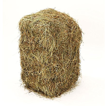 Dehner - Fardos de Paja de Prado (1 Unidad de 10 kg)