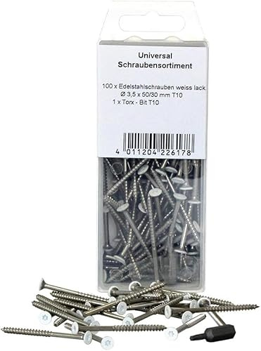 KGM Torx-Schrauben – weißer Kopf, rostfreier Edelstahl – 100 Schrauben, 1x Torx Bit