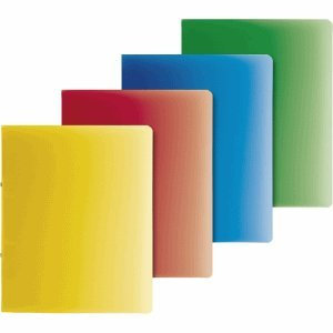 Brunnen 10 x Ringbuch Fact! A4 25mm 2 Ringe farbig Sortiert